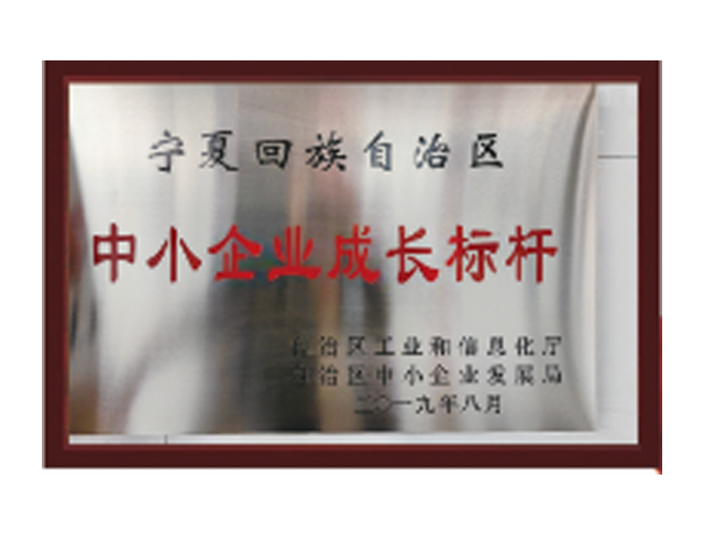 我司評為自治區中小企業成長標桿